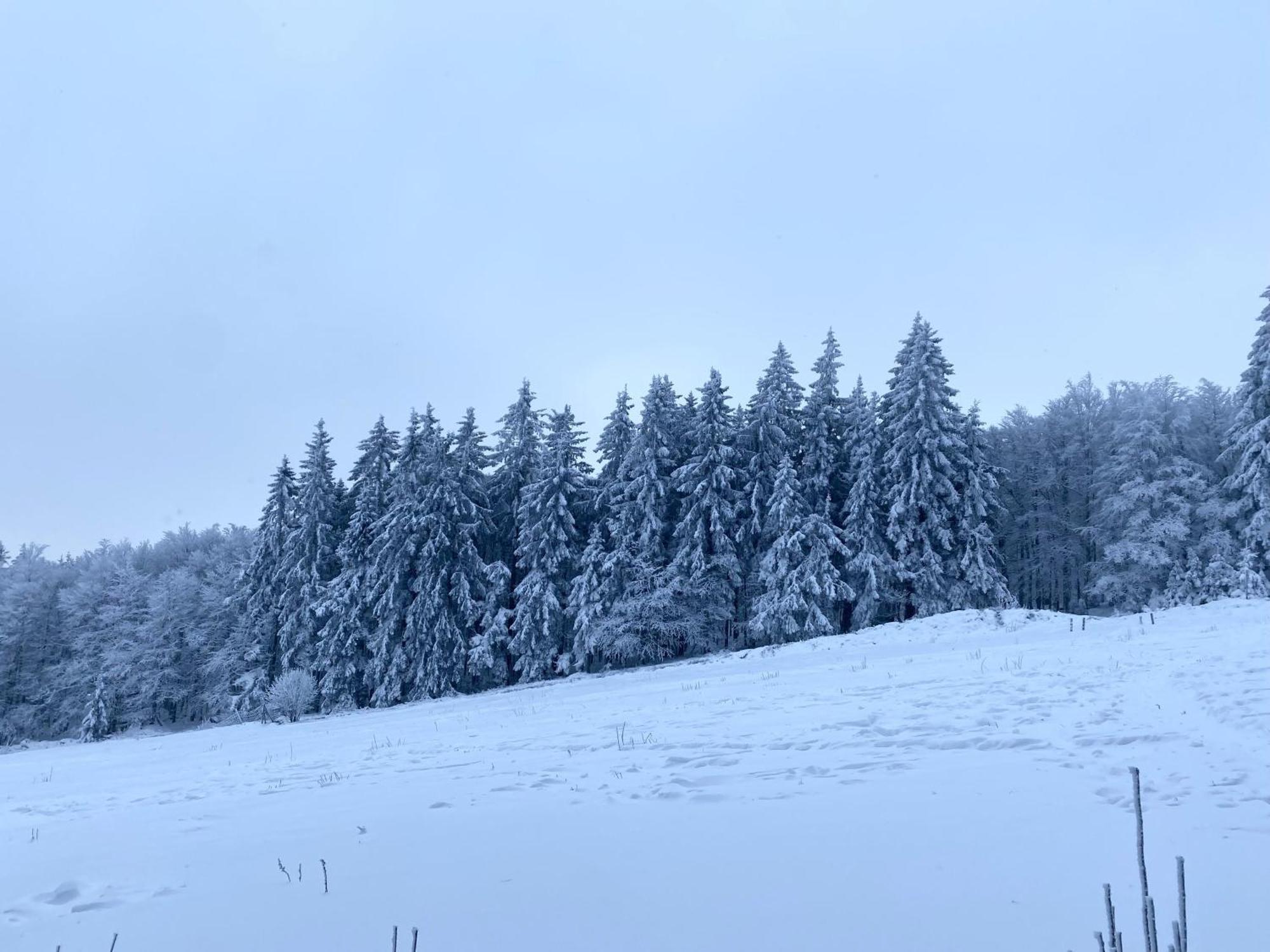 Le Chalet Du Hohwald Exterior foto